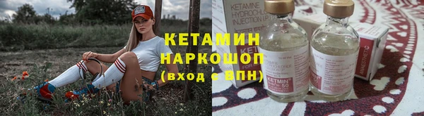 сатива Бородино