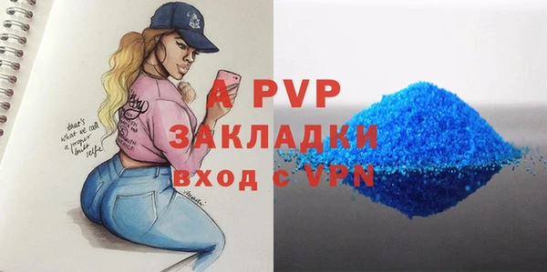 сатива Бородино