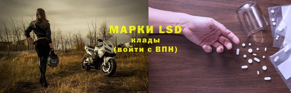 сатива Бородино