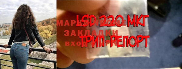 apvp Бугульма