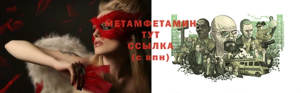 сатива Бородино