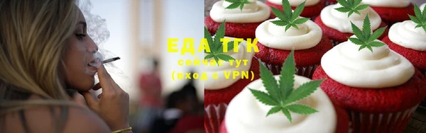 сатива Бородино