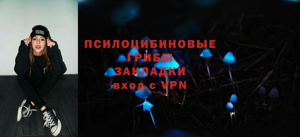 mdpv Богородицк