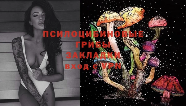 apvp Бугульма