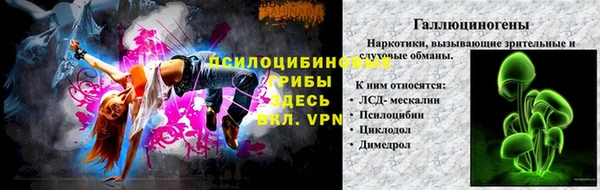 гашик Богородск