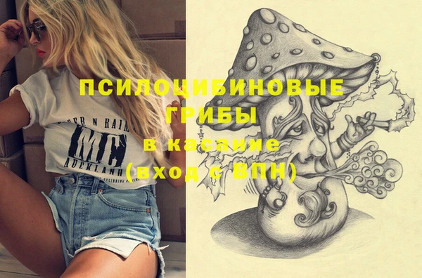 apvp Бугульма