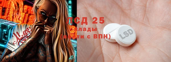 сатива Бородино